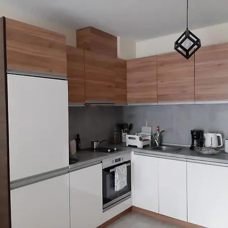 Carpe Diem Luxury Downtown Apartment
